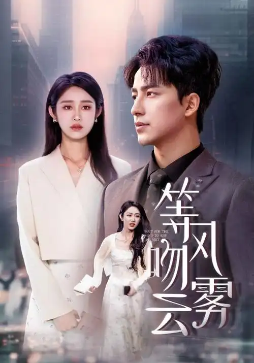 热播电视剧《长街灯火》全集在线观看